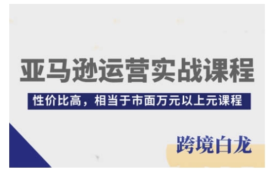 亚马逊运营实战课程，亚马逊从入门到精通，性价比高，相当于市面万元以上元课程-test