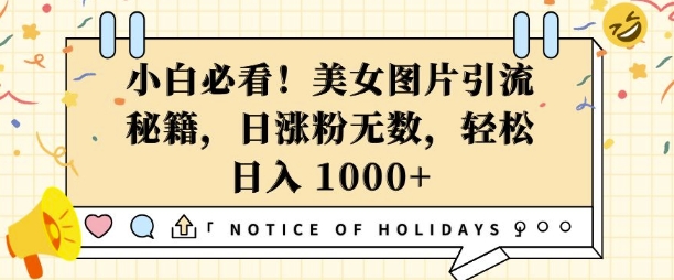 小白必看，美女图片引流秘籍，日涨粉无数，轻松日入几张【揭秘】-test