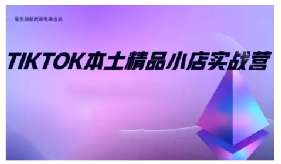 TikTok本土精品小店出海实战营，从入门到高阶，不止0-1!-test