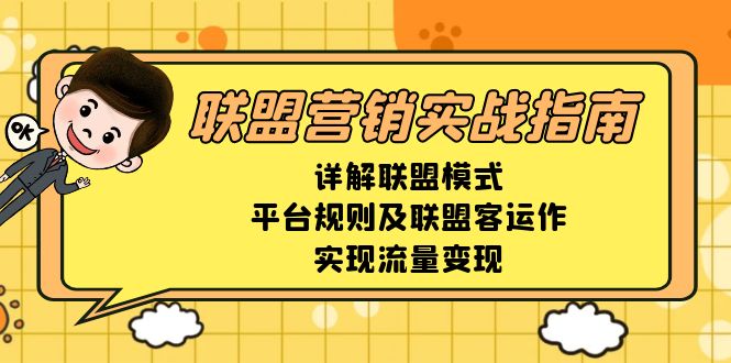 联盟营销实战指南，详解联盟模式、平台规则及联盟客运作，实现流量变现-test