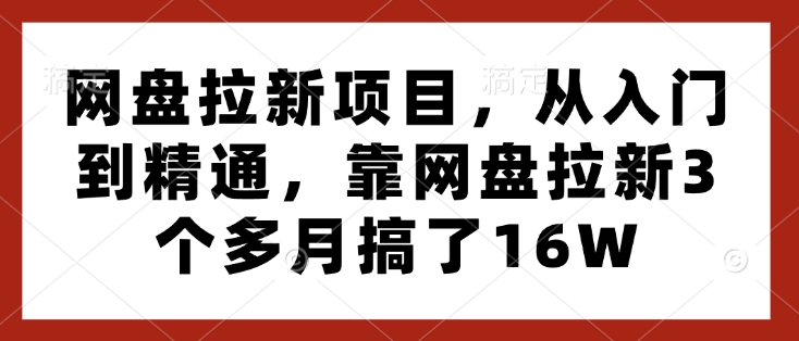 网盘拉新项目，从入门到精通，靠网盘拉新3个多月搞了16W-test