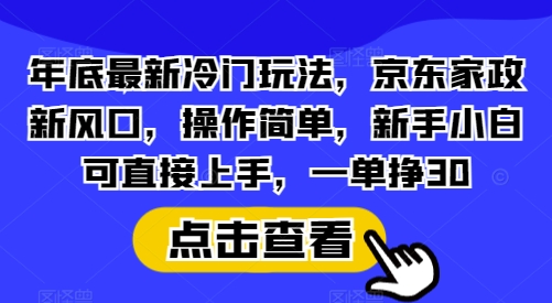 年底最新冷门玩法，京东家政新风口，操作简单，新手小白可直接上手，一单挣30【揭秘】-test