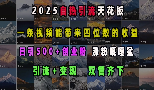 2025自热引流天花板，一条视频能带来四位数的收益，引流+变现双管齐下，日引500+创业粉，涨粉嘎嘎猛-test