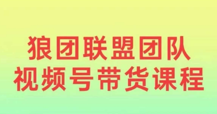 狼团联盟2024视频号带货，0基础小白快速入局视频号-test