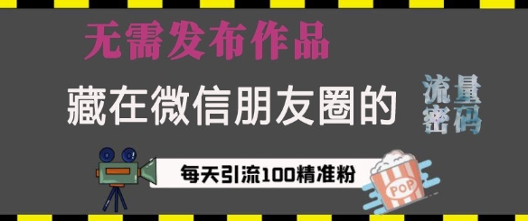 藏在微信朋友圈的流量密码，无需发布作品，单日引流100+精准创业粉【揭秘】-test