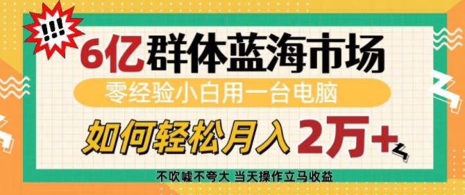6亿群体蓝海市场，零经验小白用一台电脑，如何轻松月入过w【揭秘】-test