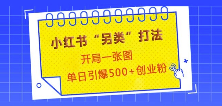 小红书“另类”打法，开局一张图，单日引爆500+精准创业粉【揭秘】-test