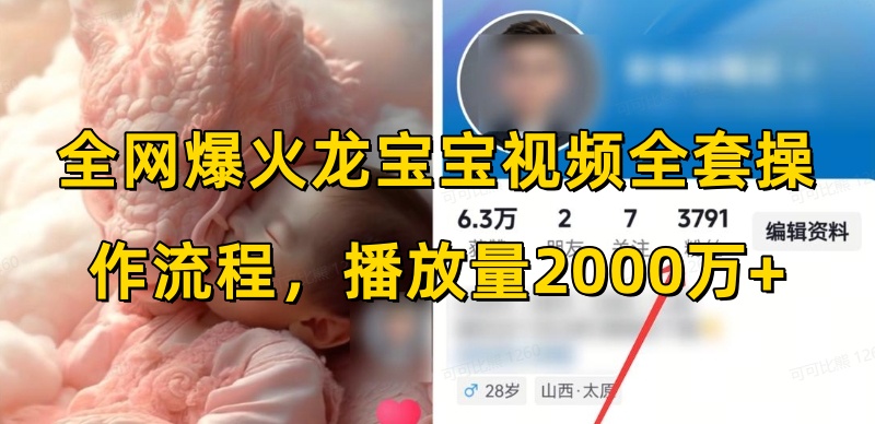 全网爆火龙宝宝视频全套操作流程，播放量2000万+-test