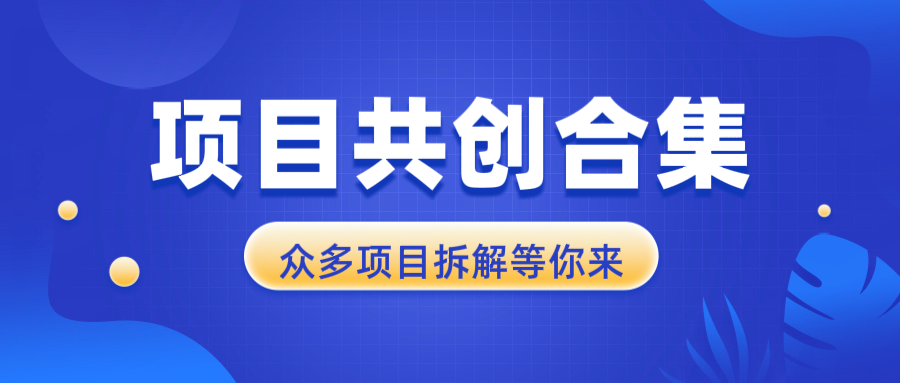 项目共创合集，从0-1全过程拆解，让你迅速找到适合自已的项目-test