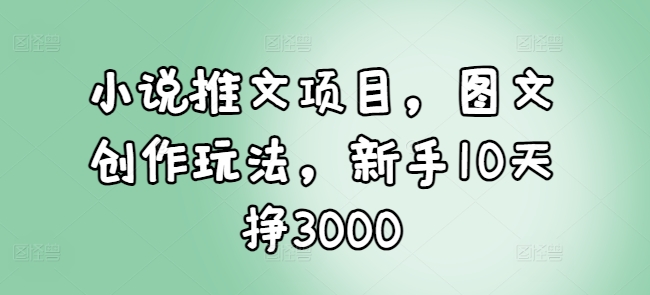 小说推文项目，图文创作玩法，新手10天挣3000-test