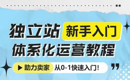 独立站新手入门体系化运营教程，助力独立站卖家从0-1快速入门!-test