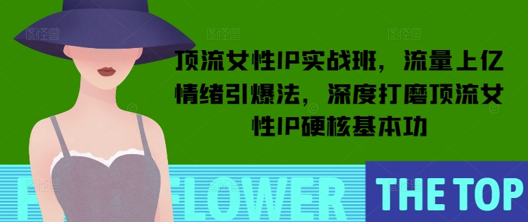 顶流女性IP实战班，流量上亿情绪引爆法，深度打磨顶流女性IP硬核基本功-test