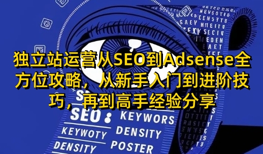 独立站运营从SEO到Adsense全方位攻略，从新手入门到进阶技巧，再到高手经验分享-test