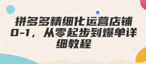 拼多多精细化运营店铺0-1，从零起步到爆单详细教程-test