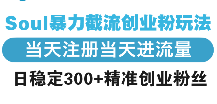 Soul暴力截流创业粉玩法，当天注册当天进流量，日稳定300+精准创业粉丝-test