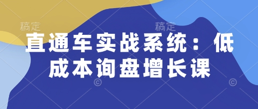直通车实战系统：低成本询盘增长课，让个人通过技能实现升职加薪，让企业低成本获客，订单源源不断-test