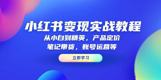 小红书变现实战教程：从小白到精英，产品定价，笔记带货，账号运营等-test