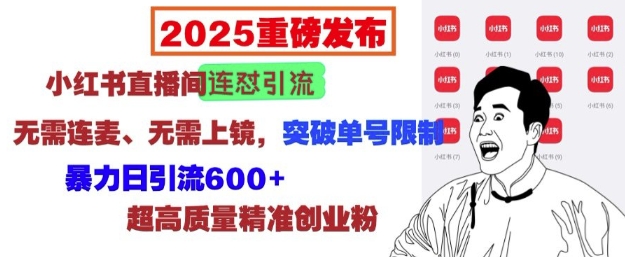 2025重磅发布：小红书直播间连怼引流，无需连麦、无需上镜，突破单号限制，暴力日引流600+-test