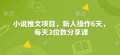 小说推文项目，新人操作6天，每天3位数分享课-test