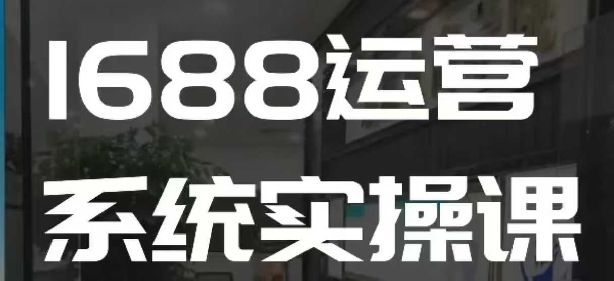 1688高阶运营系统实操课，快速掌握1688店铺运营的核心玩法-test