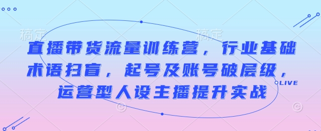 直播带货流量训练营，行业基础术语扫盲，起号及账号破层级，运营型人设主播提升实战-test