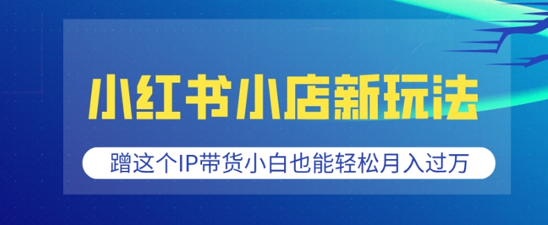 小红书小店新玩法，蹭这个IP带货，小白也能轻松月入过W【揭秘】-test