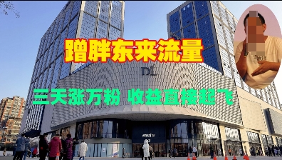 蹭胖东来流量，三天涨万粉，收益直接起飞-test