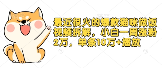 最近很火的爆款猫咪做饭视频拆解，小白一周涨粉2万，单条10万+播放(附保姆级教程)-test