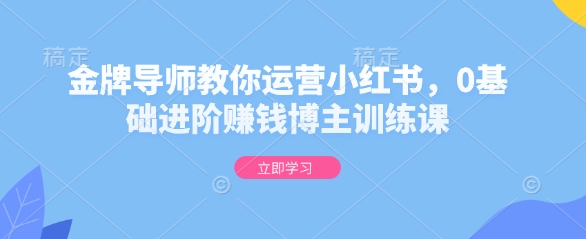 金牌导师教你运营小红书，0基础进阶赚钱博主训练课-test