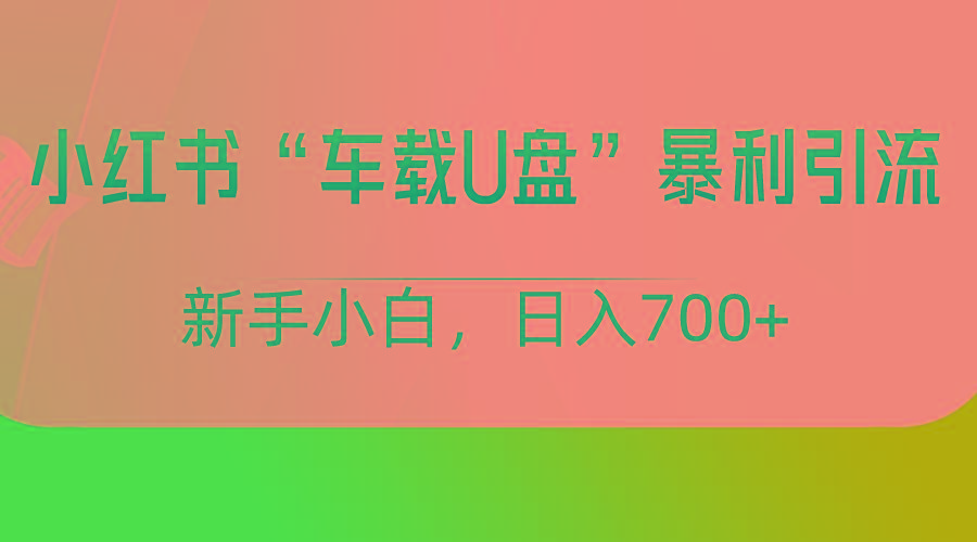 小红书“车载U盘”项目，暴利引流，新手小白轻松日入700+-test