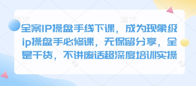 全案IP操盘手线下课，成为现象级ip操盘手必修课，无保留分享，全是干货，不讲废话超深度培训实操-test