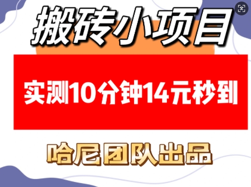 搬砖小项目，实测10分钟14元秒到，每天稳定几张(赠送必看稳定)-test