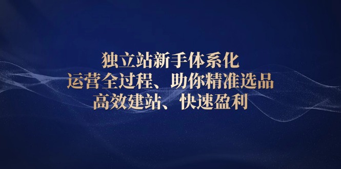 独立站新手体系化 运营全过程，助你精准选品、高效建站、快速盈利-test