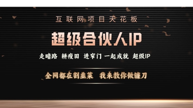 互联网项目天花板，超级合伙人IP，全网都在割韭菜，我来教你做镰刀【仅揭秘】-test