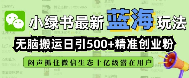 小绿书无脑搬运引流，全自动日引500精准创业粉，微信生态内又一个闷声发财的机会-test