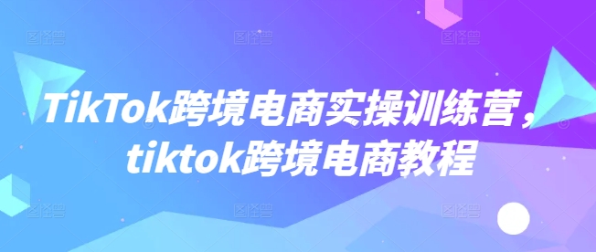 TikTok跨境电商实操训练营，tiktok跨境电商教程-test