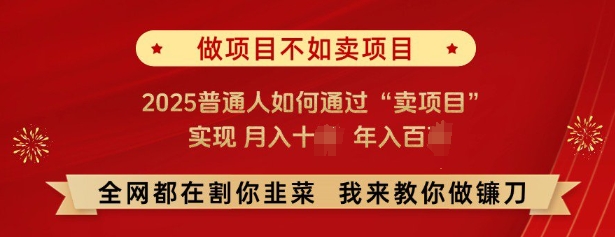 必看，做项目不如卖项目，2025普通人如何通过“卖项目”实现月入十个，年入百个-test