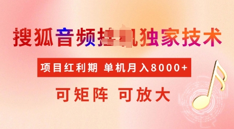 全网首发搜狐音频挂JI独家技术，项目红利期，可矩阵可放大，稳定月入8k【揭秘】-test