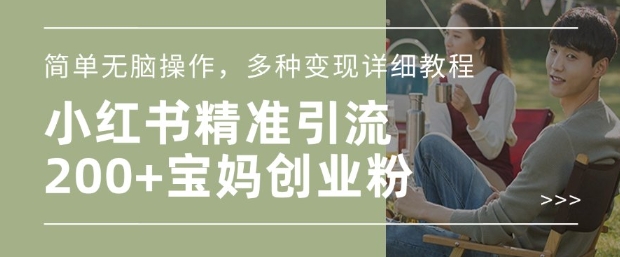 小红书混剪日引200+宝妈创业粉，简单无脑操作，多种变现详细教程-test