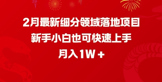 2月最新细分领域落地项目，新手小白也可快速上手，月入1W-test