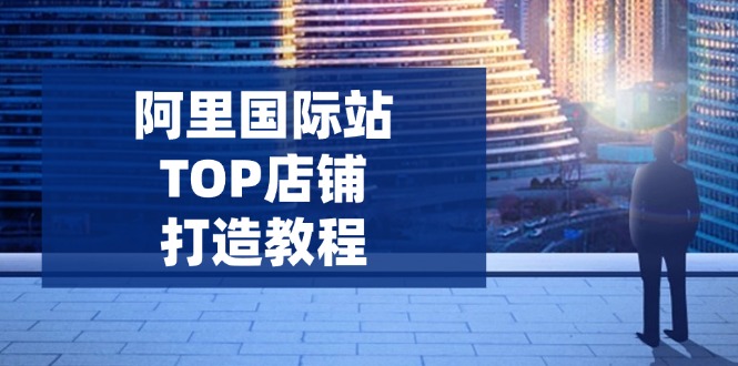阿里国际站TOP店铺打造教程：涵盖平台到高阶，解决运营难题，提升询盘-test