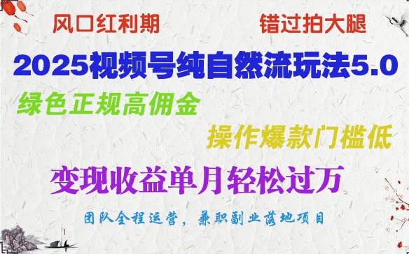 2025视频号纯自然流玩法5.0，绿色正规高佣金，操作爆款门槛低，变现收益单月轻松过万-test