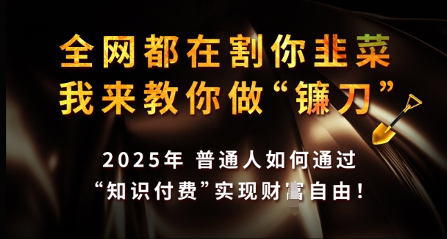 全网都在割你韭菜，我来教你做镰刀，2025年普通人如何通过 知识付费 实现财F自由【揭秘】-test