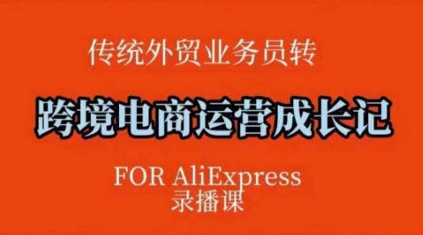 跨境电商速卖通运营课，​运营方法论+后台实操，逻辑清晰-test
