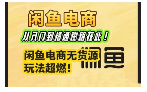 闲鱼电商实战课，从入门到精通秘籍在此，闲鱼电商无货源玩法超燃!-test