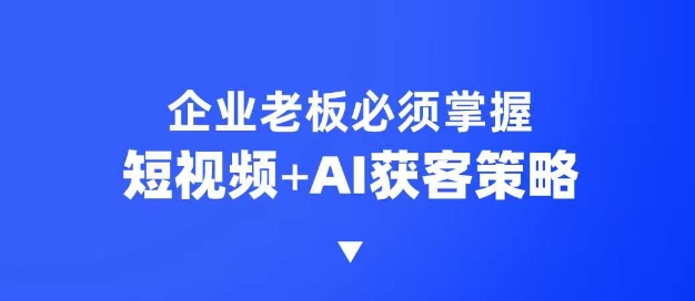 企业短视频AI获客霸屏流量课，6步短视频+AI突围法，3大霸屏抢客策略-test