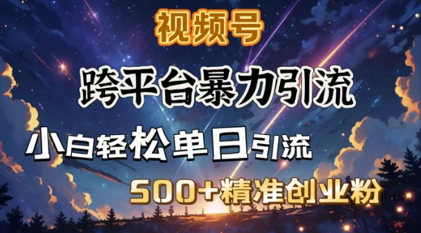 跨平台暴力引流，私域完美闭环，日引500+精准创业粉-test