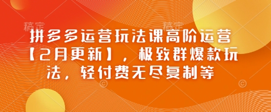 拼多多运营玩法课高阶运营【2月更新】，极致群爆款玩法，轻付费无尽复制等-test