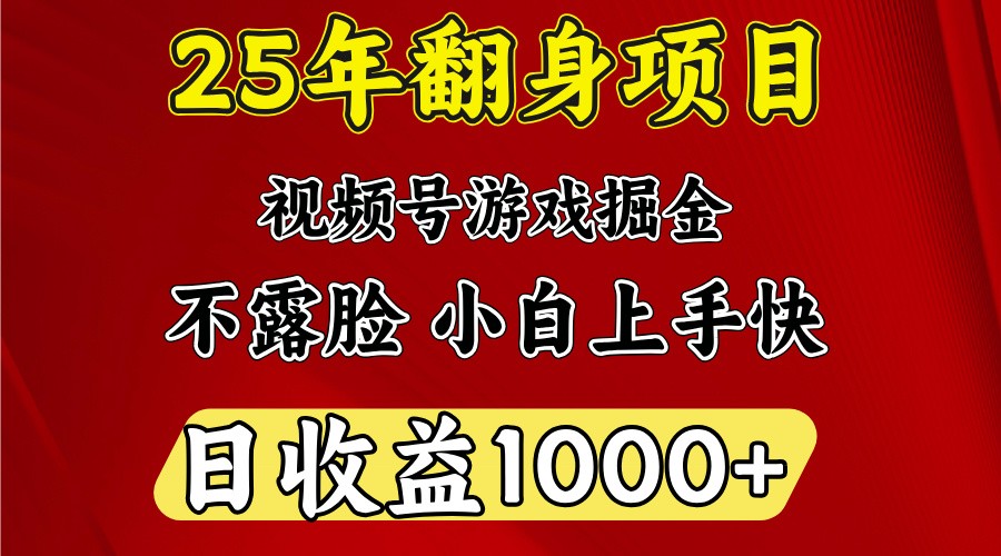 一天收益1000+ 25年开年落地好项目-test