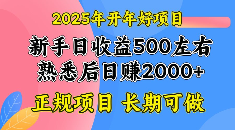 2025开年好项目，单号日收益2000左右-test